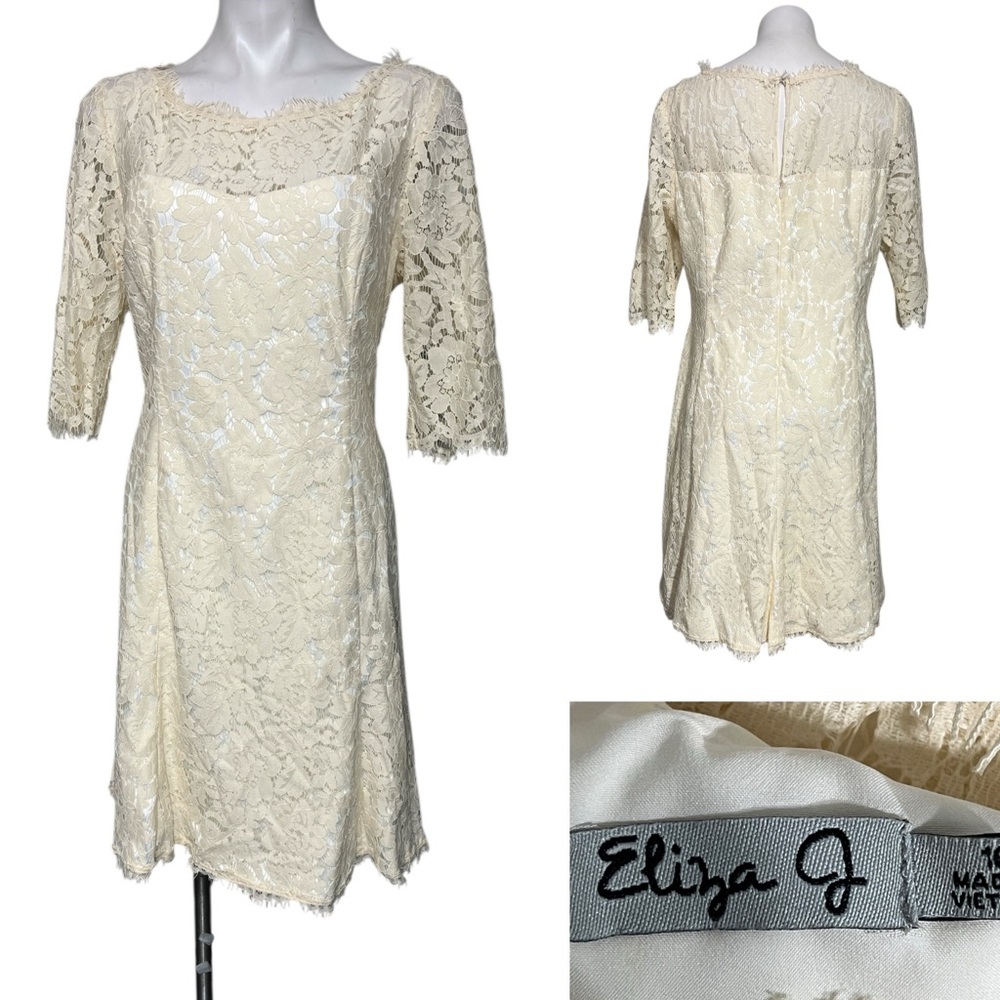 Eliza J dress plus size 16 Ivory Lace Long Sleeve overlay knee length